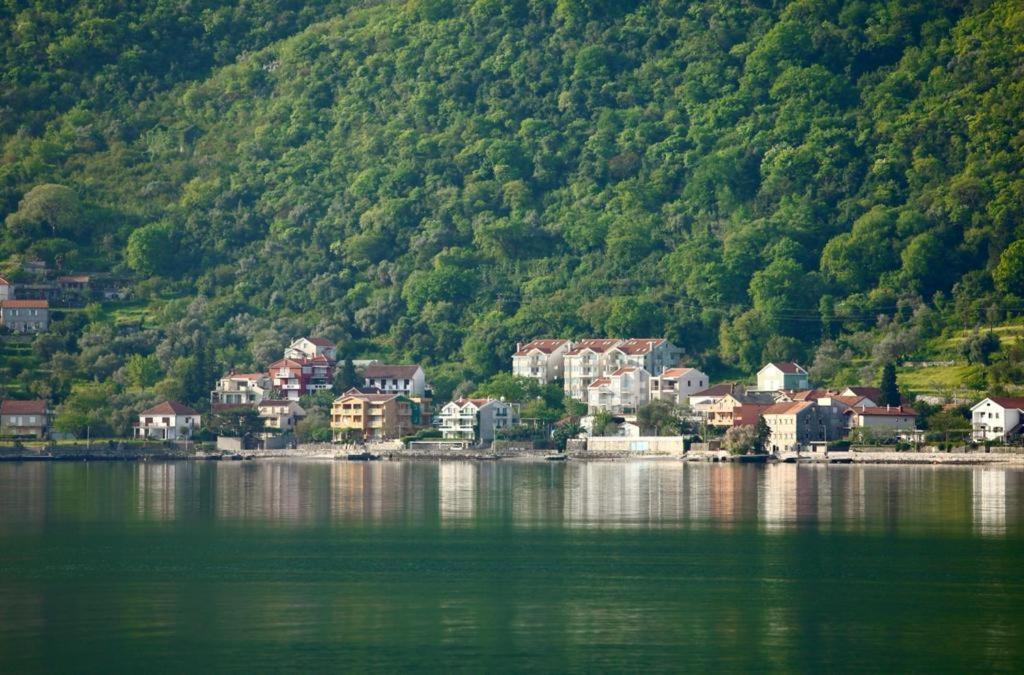 Ana Apartment Kotor Luaran gambar
